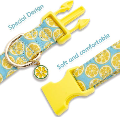 Faygarsle Cute Dog Collar for Girls Boy Dogs Soft Fancy Pet Collar with Lemon Design Ideal Yellow Green Summer Dog Collar for Small Medium Large Dogs S