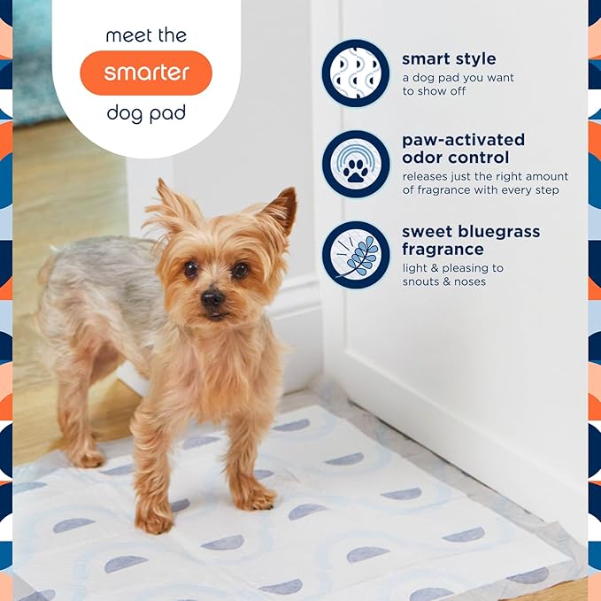 Pet Life Unlimited Smart Prints Large Puppy Pads – 22" x 22", 80 Count (L) | Stylish Dog Training Pads with Odor Controlling Wetness-Activated Sweet Bluegrass Scent | USA Made