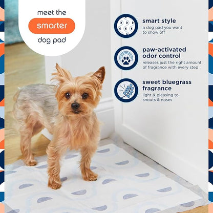 Pet Life Unlimited Smart Prints Large Puppy Pads – 22" x 22", 80 Count (L) | Stylish Dog Training Pads with Odor Controlling Wetness-Activated Sweet Bluegrass Scent | USA Made