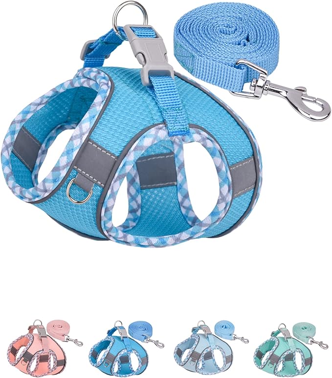 Petank Dog Harness for Small Medium Dogs No Pull, Puppy Harness and Leash Set, Step in Dog Harness for Walking, Running, Training, Small Dog Vest, Medium Dog Vest (Bule, L)