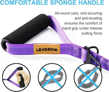 LEADSOM 6FT Highly Reflective Heavy Duty Elastic Bungee Medium and Large Dog Leash Shock Absorbing with Comfortable Padded Handle and Traffic Handle Suitable for Training