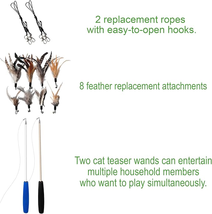 EcoCity Cat Toys - No Chemical Dyeing Cat Feather Toys for Indoor Cats - Include Cat Wand and Natural Feather Refills