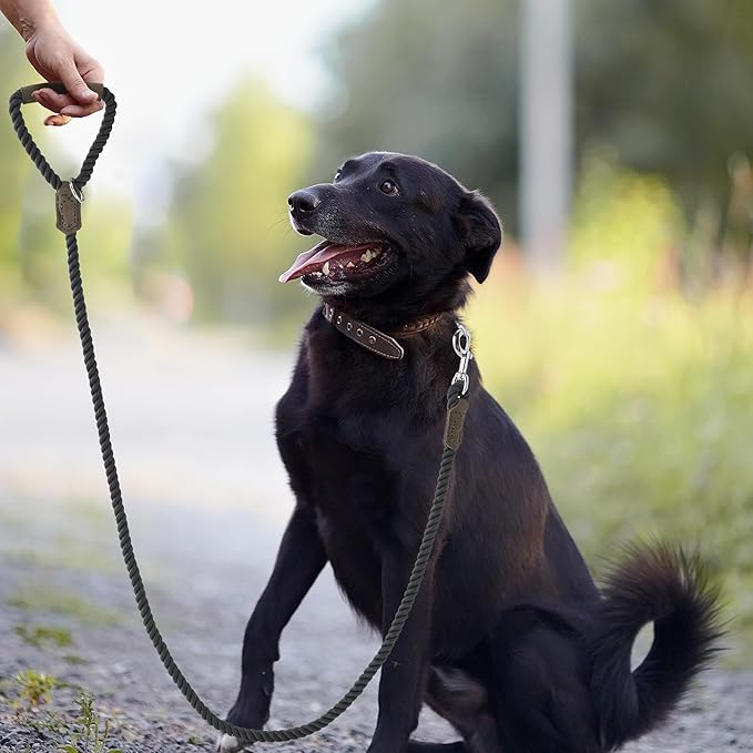 Mile High Life Dog Leash, Braided Cotton Rope Leashes with Leather Handle - Heavy Duty Metal Clasp, 5FT, 1/2" Thick - Wedding, Walking & Training Leash for Small Medium Large Dogs (Gray)