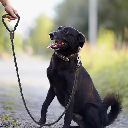 Mile High Life Dog Leash, Braided Cotton Rope Leashes with Leather Handle - Heavy Duty Metal Clasp, 6FT, 1/2" Thick - Wedding, Walking & Training Leash for Small Medium Large Dogs (Gray)