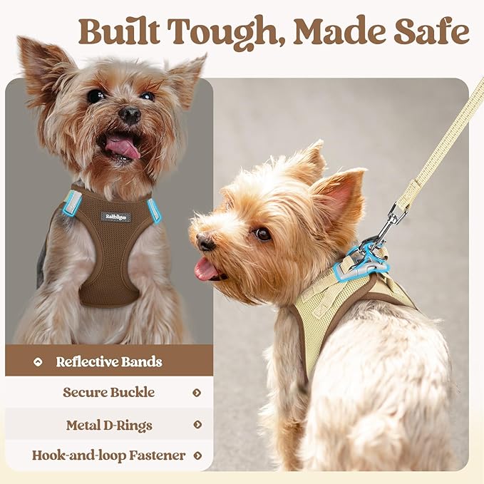 rabbitgoo Dog Harness Small Sized and Leash Set, Step in Soft Light Puppy Vest, Breathable Mesh Pet Harness, Reflective for Safe Easy Walking, Brown & Beige S