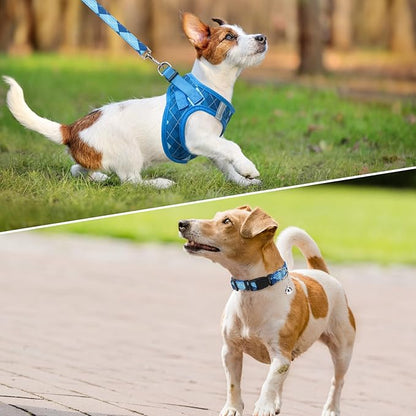 SCENEREAL Small Dog Harness and Leash Collar Set, Step in No Pull Soft Mesh Dog Harnesses for Small Medium Sized Dogs Puppy and Cats Outdoor Walking, No Chock Reflective Vest Harness, Blue Plaid M