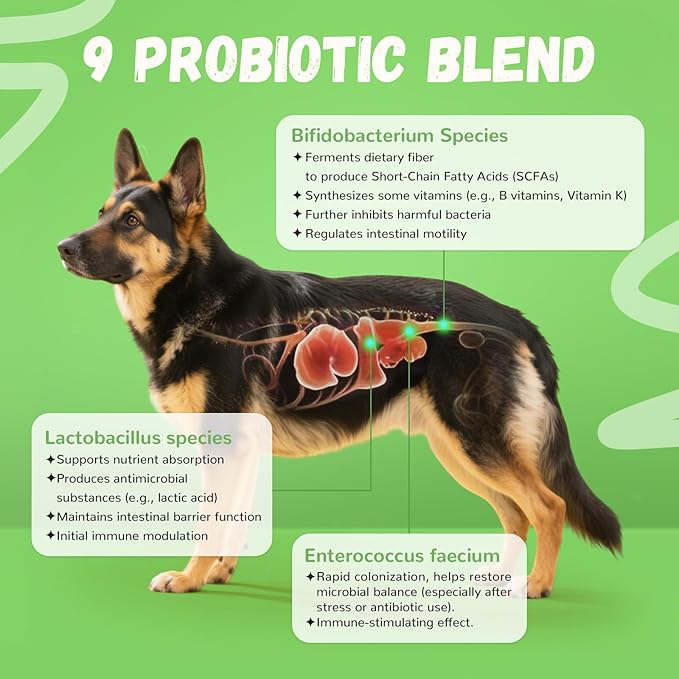 Furrolika Probiotics for Dogs – Supplements for Gut Health, Digestive Support, Immune Support & Diarrhea Relief – Beef Flavor Dog Probiotic Soft Chews