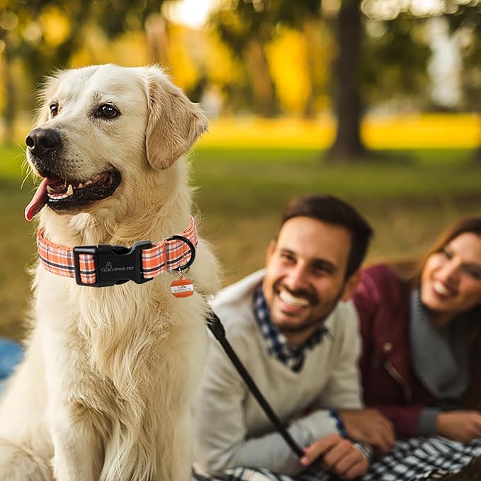 ARING PET Puppy Fall Dog Collar, Autumn Orange Black White Plaid Pet Collars for Small Medium Large Girl Boy Dogs Halloween-L Size