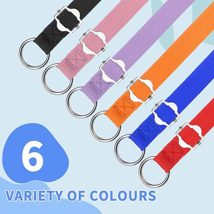 HOMIMP Slip Lead Dog Leash 6 FT- 6 PCS Bulk Colors Kennel Control Leashes for Small Medium Large Dogs Puppy Animal Rescue, Grooming - Heavy Duty Strong Nylon 6 Foot Long for Shelter, Vet, Training
