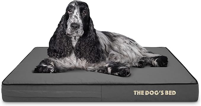 The Dog’s Bed Orthopedic Memory Foam Dog Bed, Medium Grey & Black, Waterproof, Supportive Dog Bed with Replaceable Covers, Veterinary Approved