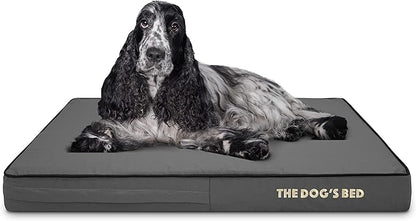 The Dog’s Bed Orthopedic Memory Foam Dog Bed, Medium Grey & Black, Waterproof, Supportive Dog Bed with Replaceable Covers, Veterinary Approved