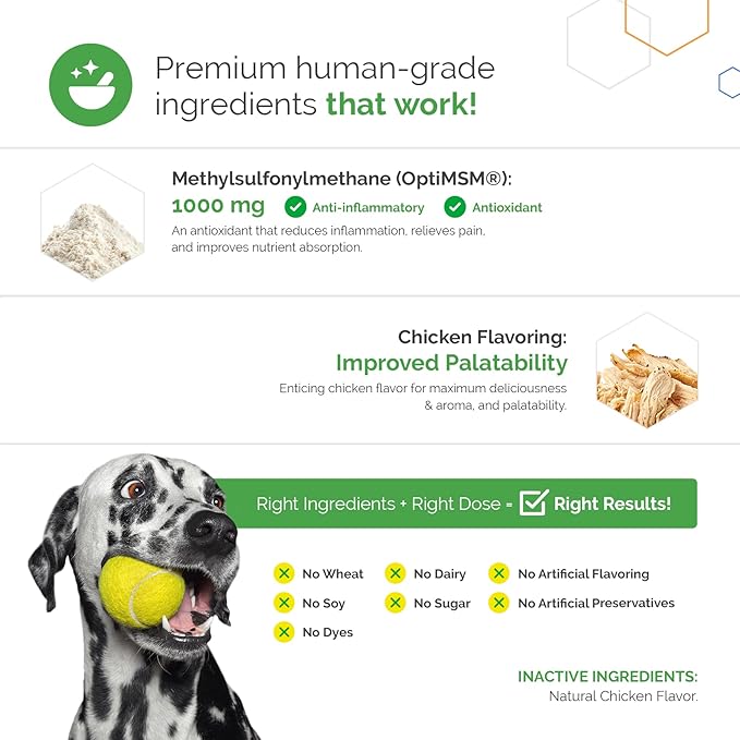 TopDog Health - MSM Joint Boost Powder - Hip & Joint Dog Supplement for Joint Mobility & Flexibility - Natural Anti-Inflammatory with Sulfur - Chicken Flavored