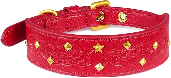 Blueberry Pet Premium Embossed Red Glam Silver-Powered Freshness Microfiber Leather Dog Collar with Gold Studs