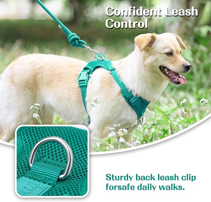 No Pull Dog Harness for Small Medium Large Dogs - Adjustable 2 Layer Mesh Dog Vest with Dual Clip, Escape Proof, Quick Release, Lightweight Breathable Mesh for Walking Hiking (MARRS Green,S)