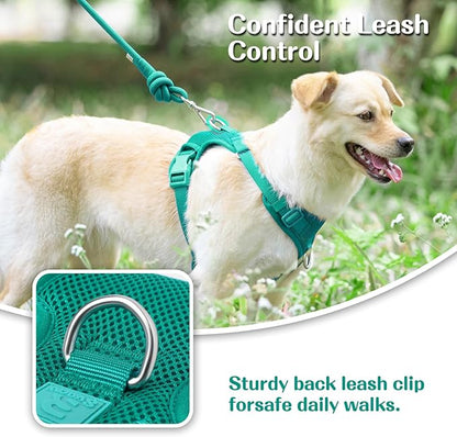 No Pull Dog Harness for Small Medium Large Dogs - Adjustable 2 Layer Mesh Dog Vest with Dual Clip, Escape Proof, Quick Release, Lightweight Breathable Mesh for Walking Hiking (MARRS Green,S)