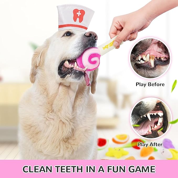 LEGEND SANDY Dog Squeaky Toys, Plush Small Dog Toys for Dogs, Stuffed with Squeakers,14 pcs Puppy Toys with a Carrying Bag for Small Medium Size