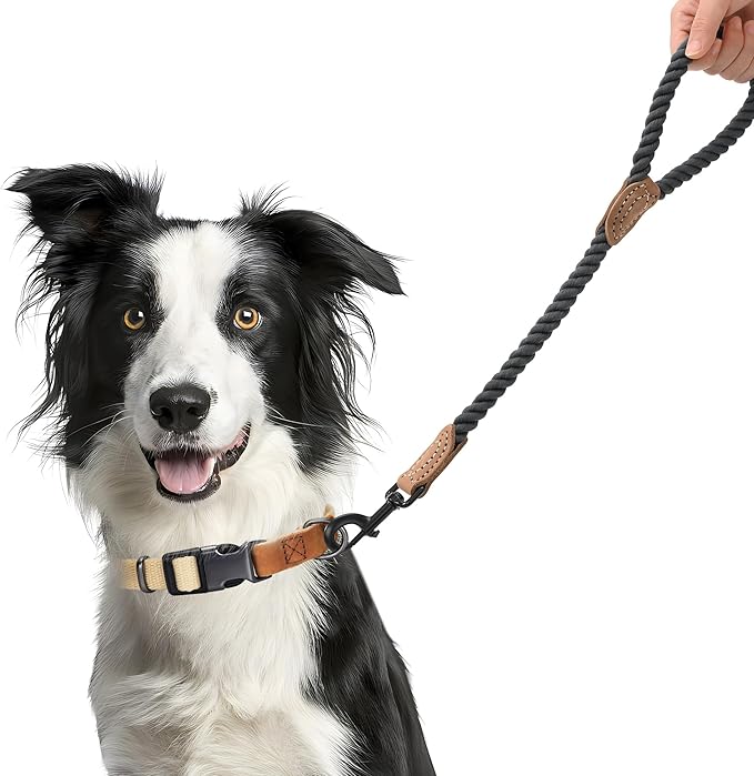 Mile High Life Short Dog Leash, Braided Cotton Rope Leashes with Leather Tip - Heavy Duty Metal Clasp, 18IN, 1/2" Thick - Wedding, Walking & Training Leash for Medium Large Dogs