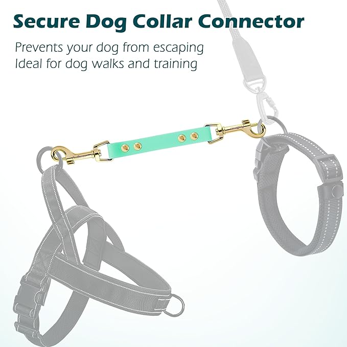 PetBonus Dog Collar Safety Clip, Waterproof Backup Safety Strap for Dog Harness to Prong Collar, Odor Proof Double Ended Clasp Leash Connector for Training Walking (Mint Green)