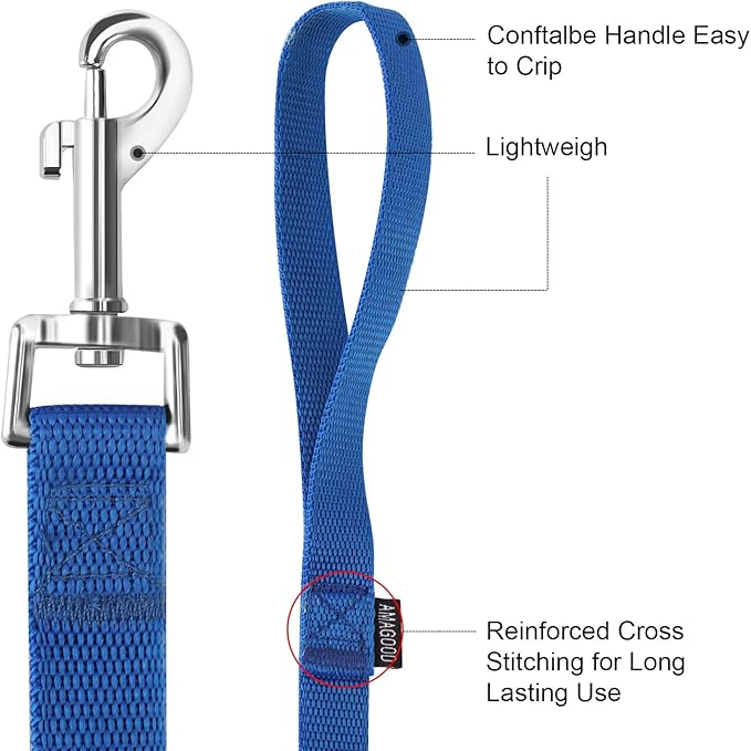 AMAGOOD 6 FT Puppy/Dog Leash, Strong and Durable Traditional Style Leash with Easy to Use Collar Hook, Great for Small, Medium and Large Dogs (1 in x 6 ft(Pack of 1), Blue)