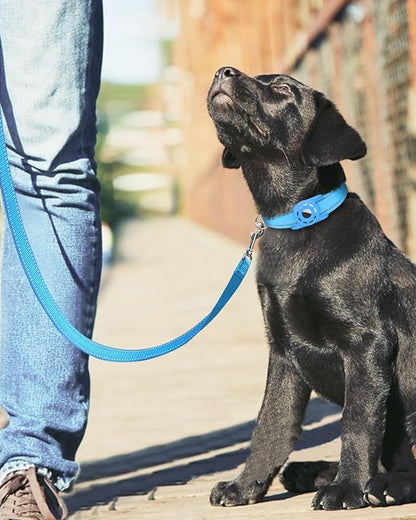 4FT Reflective Nylon Dog Leash with Soft Padded Handle for Walking, Running and Training, Supports Small Medium and Large Dogs (Auqa Blue, 3/4 Inch Wide)
