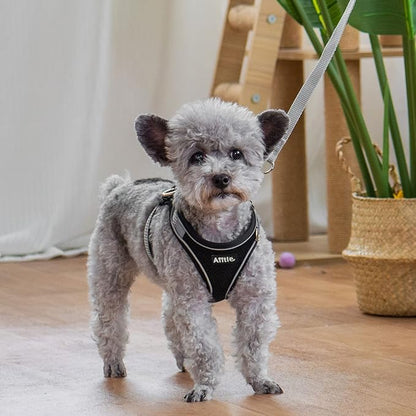 AIITLE Easy Walk Dog Harness and Leash Set - Pet Supply No Pull, Step in Adjustable Dog Harness with Padded Vest for All Weather, Dog Harness No Choke Over, Easy to Put on Medium Dogs Black L