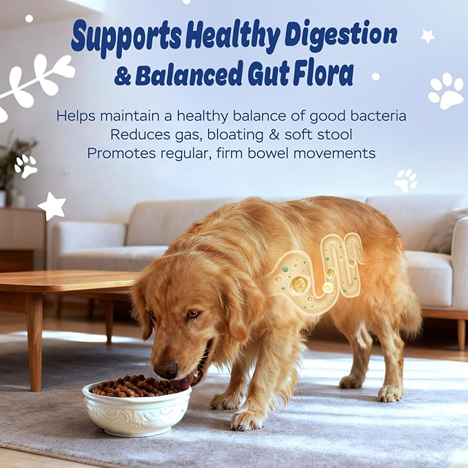 Dog Probiotic Soft Chews – 6-Strain Blend for Digestive & Immune Health – Supports Gut Balance, Reduces Gas, Tasty Daily Treat for Dogs-120 Count