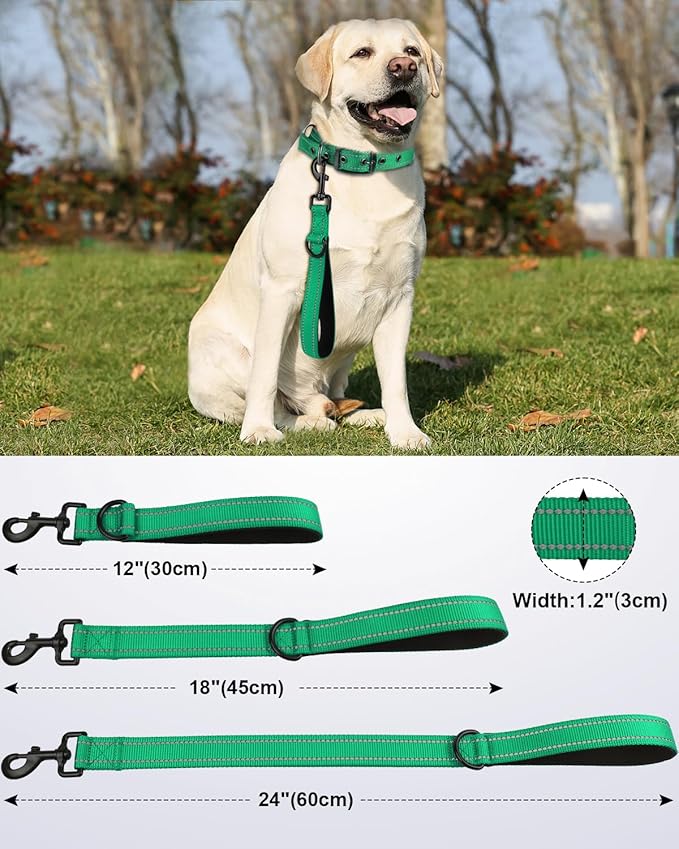 Joytale Strong Short Dog Leash 1FT, 1.2 Inch Wide, Heavy Duty, Padded Handle for Traffic Control, Reflective Leash for Medium and Large Dogs Walking Training, Teal