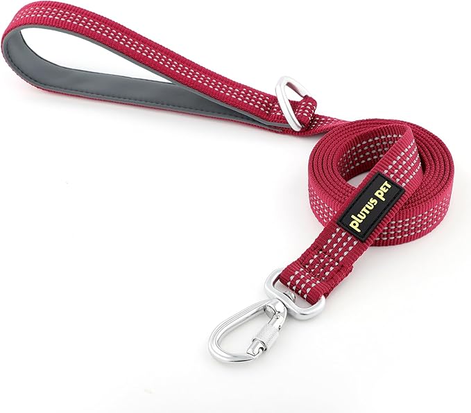 Plutus Pet Heavy Duty Dog Leash with Lockable Aluminum Carabiner, 4/6 Feet Long, Double-Sided Reflective Nylon, Padded Handle, for Puppy, Small, Medium and Large Dogs (Burgundy Red, 1" x 4')