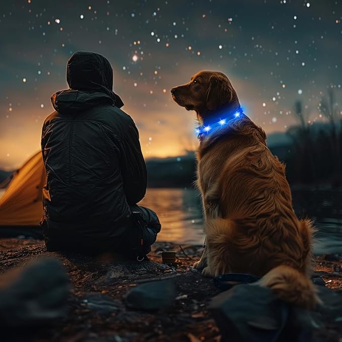 HIGO Light Up Dog Collar, Lightweight LED Dog Collar for Dogs Cats, USB Rechargeable LED Dog Necklace Light Makes Your Beloved Dogs Glow in The Dark (Blue-Silicone)