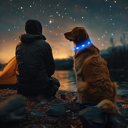 HIGO Light Up Dog Collar, Lightweight LED Dog Collar for Dogs Cats, USB Rechargeable LED Dog Necklace Light Makes Your Beloved Dogs Glow in The Dark (Blue-Silicone)