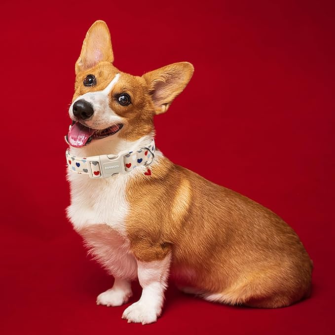 DOGWONG Valentine's Dog Collar-Hearts Print Dog Collar for Large Cute Dog Collars Spring Female Male Pet Gift Adjustable Heavy-Duty Soft Collar，S