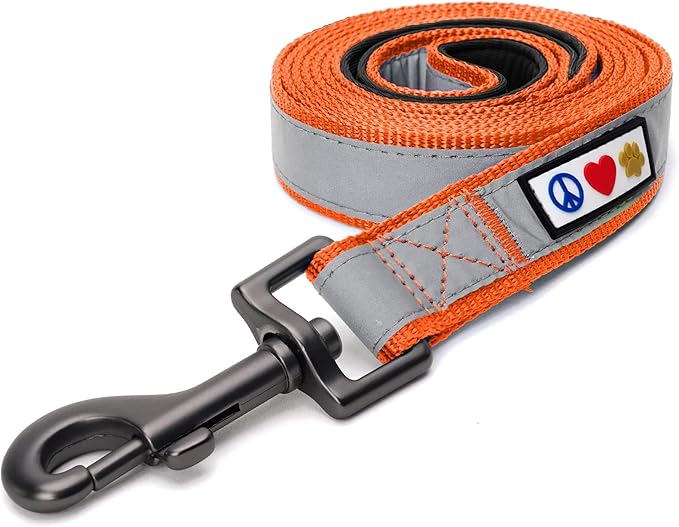 Pawtitas Orange Dog Leash 6 ft Custom ID Lead for Dogs & Puppies Reflective Comfortable Padded Handle Embroidered Name & Phone Number