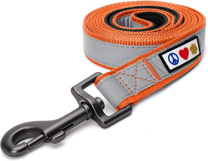 Pawtitas Orange Dog Leash 6 ft Custom ID Lead for Dogs & Puppies Reflective Comfortable Padded Handle Embroidered Name & Phone Number