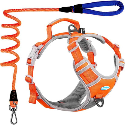 ThinkPet No Pull Harness Set Breathable Sport Harness with Handle - Reflective Padded Dog Safety Vest with Reflective Neon Dog Leash M Harness Leash Pack Orange
