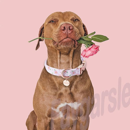 Faygarsle Pink Rose Pattern Dog Collar for Small Medium Large Dogs Cute Puppy Collars for Female Dogs for Summer Spring Wedding Necklace Girl Dog Collar L