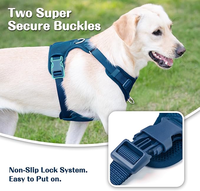 No Pull Dog Harness for Small Medium Large Dogs - Adjustable 2 Layer Mesh Dog Vest with Dual Clip, Escape Proof, Quick Release, Lightweight Breathable Mesh for Walking Hiking (Prussian Blue,L)