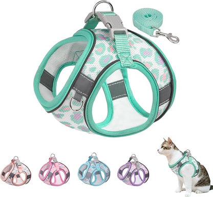 Step in Mesh Dog Harness and Leash Set Breathable Air Mesh Reflective Escape Proof Dog Harness Vest No Choke Lightweight Mesh Dog Harness (L(Neck:13.5"-15.5",Chest:18"-19.5"), Green-2)