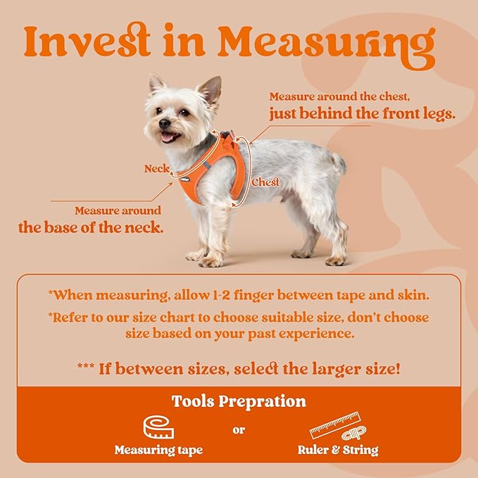 rabbitgoo Small Dog Harness, Step-in Soft Mesh Puppy Vest with Safety Buckle, Breathable Reflective Pet Harness for Small Medium Dogs, Orange XL