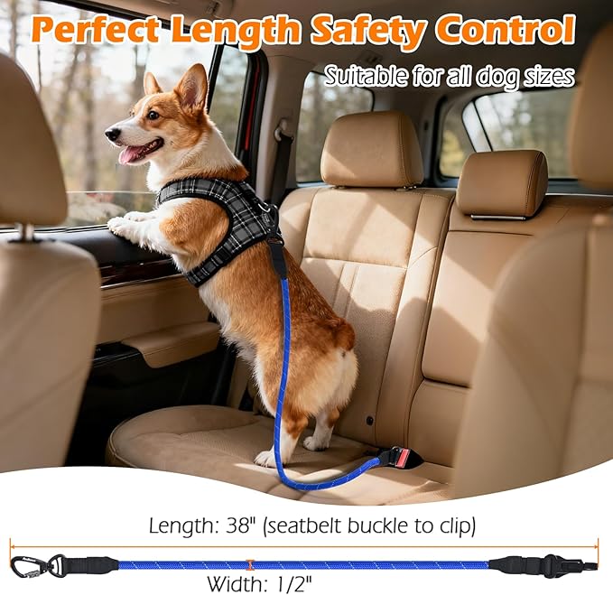 PetBonus Dog Seat Belt for Car, Durable Rope Dog Car Harness Seatbelt for Vehicle, Pet Tether Safety Restraint with Heavy Duty Buckle Hook Latch Lockable Clip for Small Medium Large Breeds (Blue)