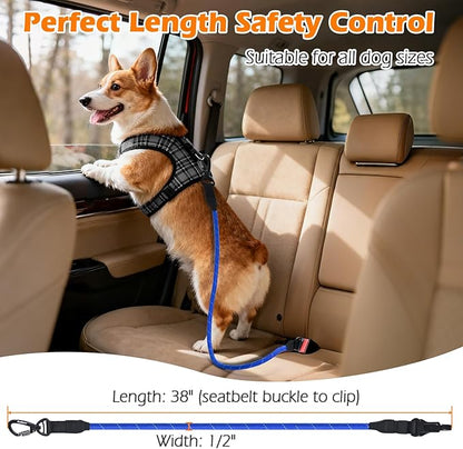 PetBonus Dog Seat Belt for Car, Durable Rope Dog Car Harness Seatbelt for Vehicle, Pet Tether Safety Restraint with Heavy Duty Buckle Hook Latch Lockable Clip for Small Medium Large Breeds (Blue)