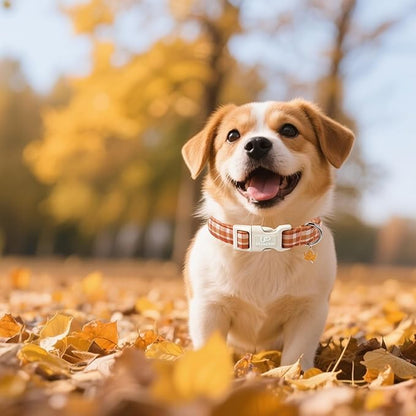 Fall Plaid Dog Collar with Maple Leaf Charm – Adjustable Autumn Checkered Dog Collar for Small Medium Large Dogs, Soft Cotton Puppy Collars with Quick Release Buckle and Metal D-Ring