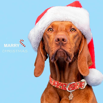 Faygarsle Christmas Dog Collar, Red Gingerbread Pattern, Plastic Buckle with Metal D-Ring, Holiday Pet Accessory, for Small Medium Large Dogs M