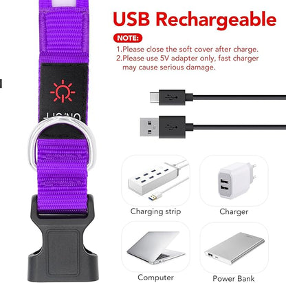 VIZPET LED Dog Collar, Light Up Dog Collar Adjustable USB Rechargeable Super Bright Safety Light Glowing Collars for Dogs (Purple, Small[11.02-15.74 inch/28-40cm])