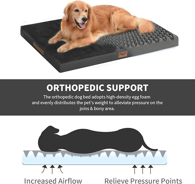 Tail Stories Orthopedic Dog Bed for Extra Large Dogs, XL Comfort Pet Mat for Large Sized Dog 44x32 Inch, Egg Crate Foam with Removable Washable Oxford Cover, Black