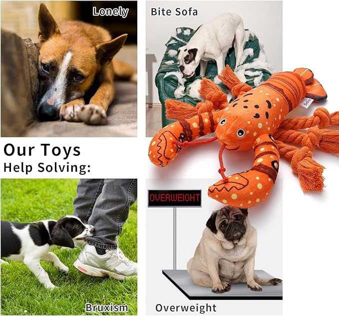 Sedioso Dog Toys, Dog Plush Toy for Large Breed, Cute Squeaky Dogs Toy with Crinkle Paper, Puppy Chew Toy for Small, Middle, Large Breed (Lobster)