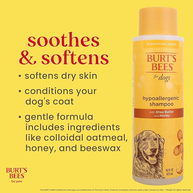 Burt's Bees for Pets Hypoallergenic Shampoo for Dogs with Shea Butter and Honey, 2pk, 95% Natural Origin Formulas, Shampoo for Sensitive Dogs - Gentle Dog Shampoo, 2pk, 16 oz