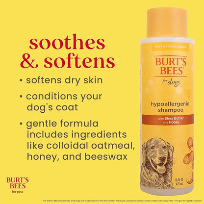 Burt's Bees for Pets Hypoallergenic Shampoo for Dogs with Shea Butter and Honey, 95% Natural Origin Formulas, Cleanser for Sensitive Dogs - Gentle Dog Wash, 6pk, 16 oz
