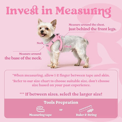 rabbitgoo Small Dog Harness, Step-in Soft Mesh Puppy Vest with Safety Buckle, Breathable Reflective Pet Harness for Small Medium Dogs, Light Pink XL