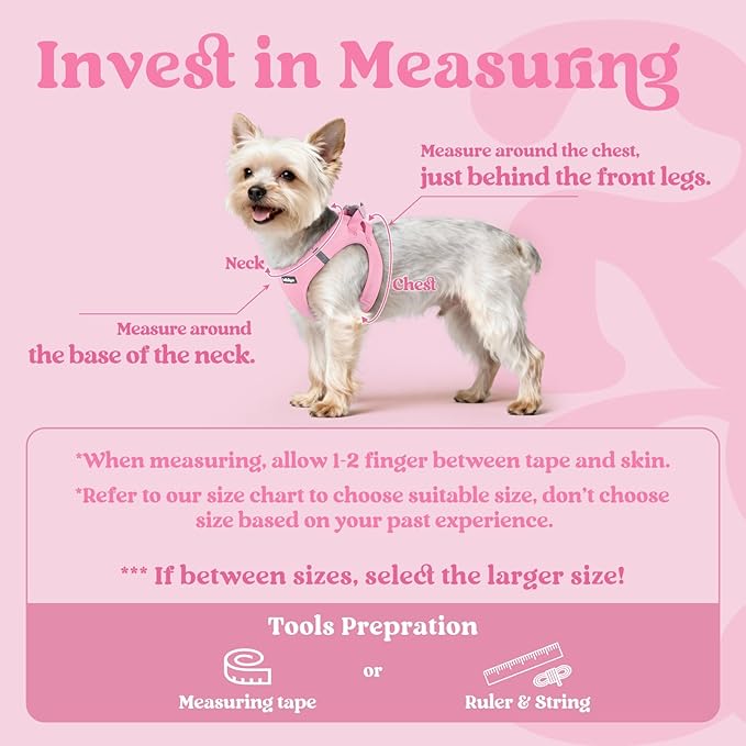 rabbitgoo Small Dog Harness, Step-in Soft Mesh Puppy Vest with Safety Buckle, Breathable Reflective Pet Harness for Extra Small Dogs, Light Pink XXS