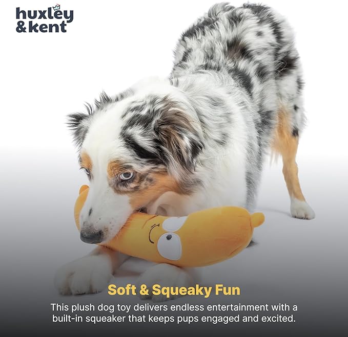 Huxley & Kent Funny Dog Toy w/Squeaker – Power Plush Squeaky Dog Toys for Small, Medium & Large Dogs – Soft Stuffed Animal for Indoor Play & Fetch - Fetchies® Sammy Sausage, Large
